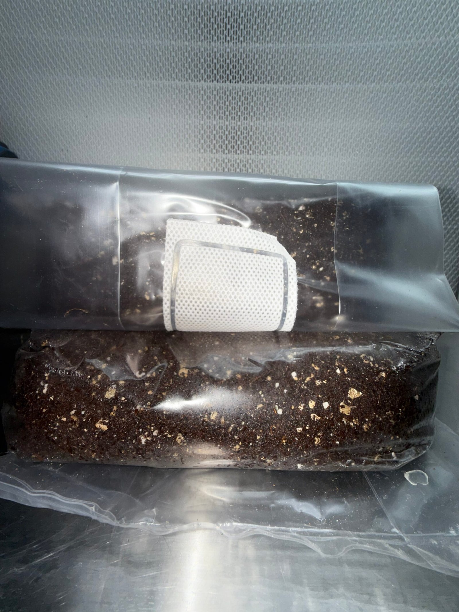 Four-pound mushroom substrate bags