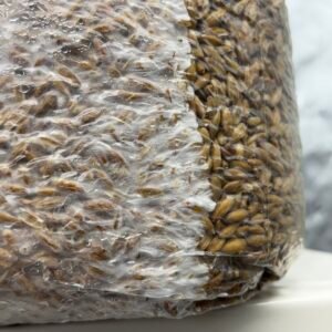 Sterilized Grain (WHOLE OATS) 3lb Bags